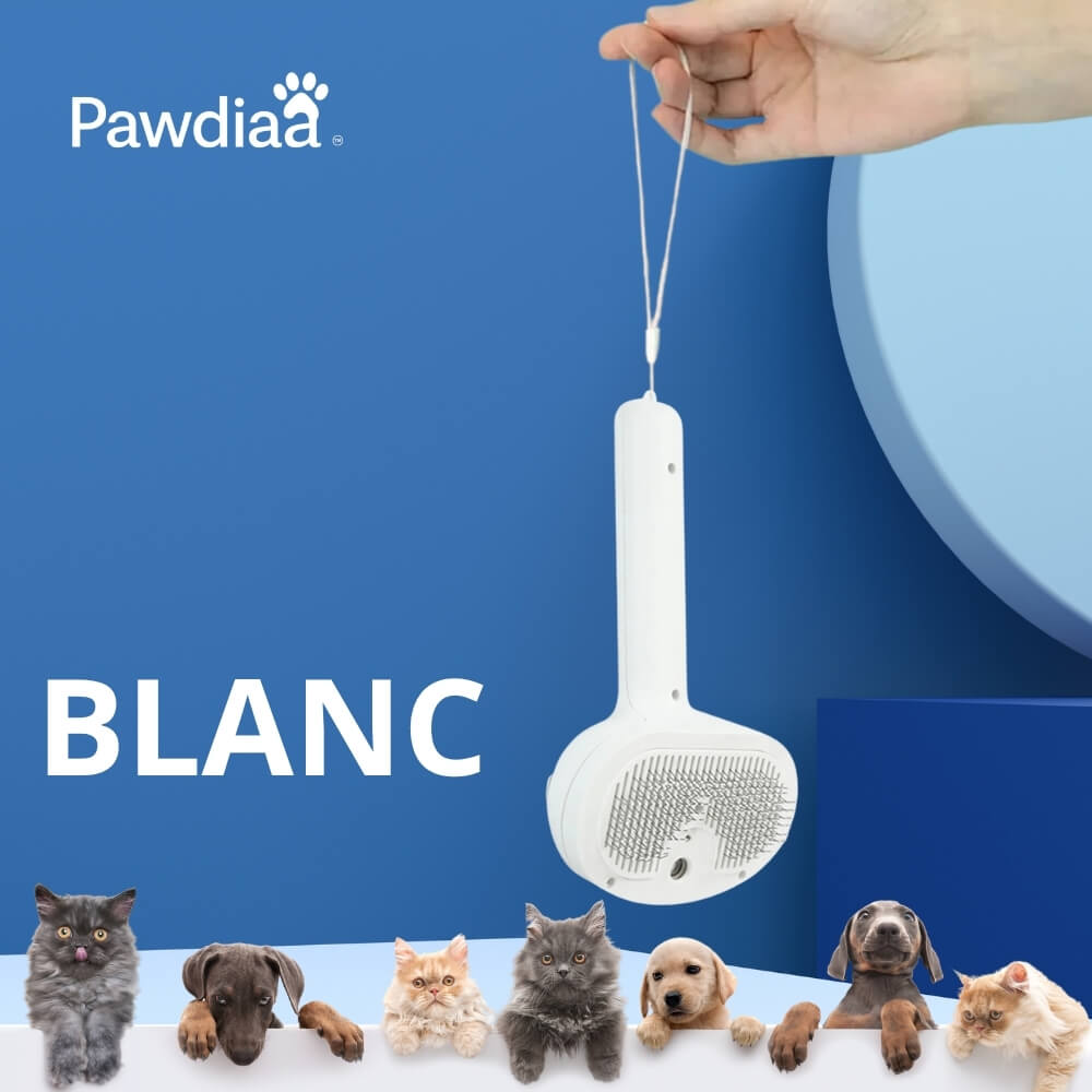RitualSpray™ – Brosse à Spray UV pour Animaux Sensibles