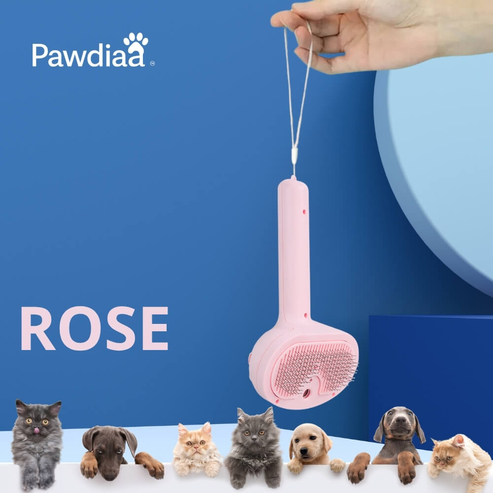 RitualSpray™ – Brosse à Spray UV pour Animaux Sensibles