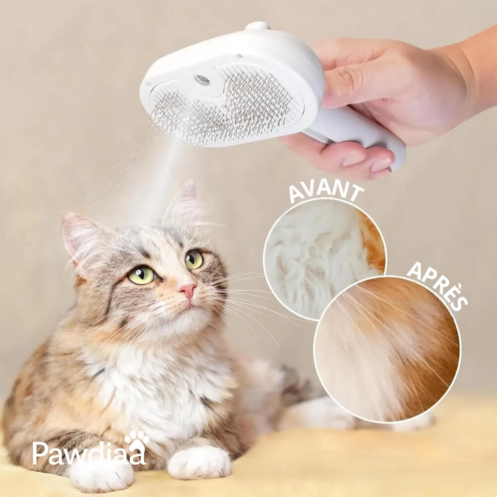 RitualSpray™ – Brosse à Spray UV pour Animaux Sensibles