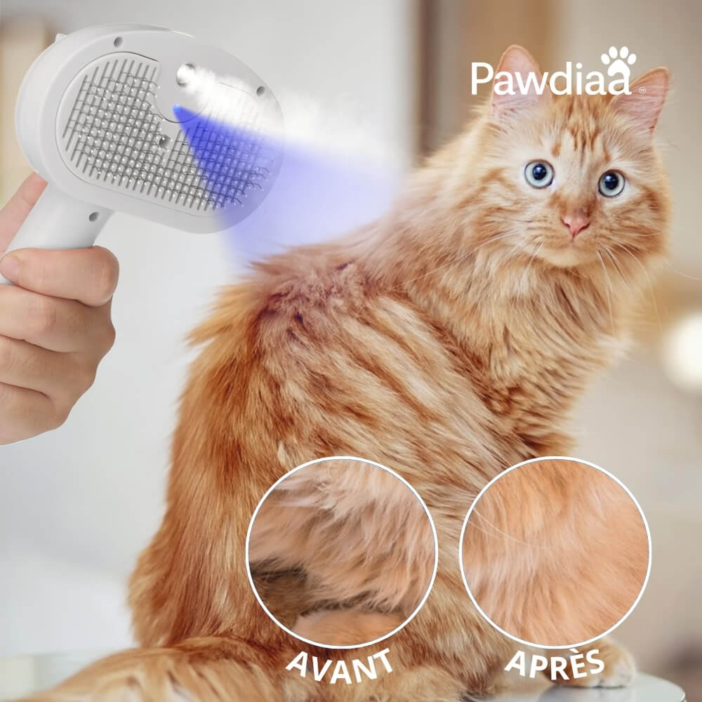 RitualSpray™ – Brosse à Spray UV pour Animaux Sensibles