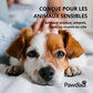 RitualSpray™ – Brosse à Spray UV pour Animaux Sensibles