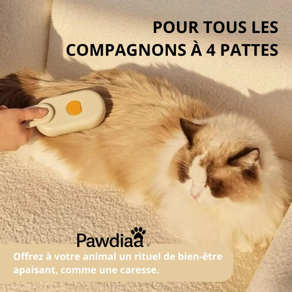 ZenMist™ – La Brosse à Brumisation Douce pour Animaux Sensibles